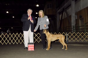Jaz best opposite sex and best of breed-owner handler