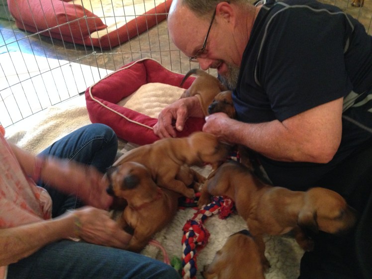 rumor litter 5-13-18 -4