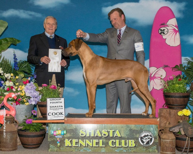 bentley bb g4 shasta kc