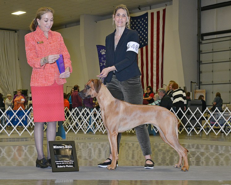 zula wb 11mon 4pt major