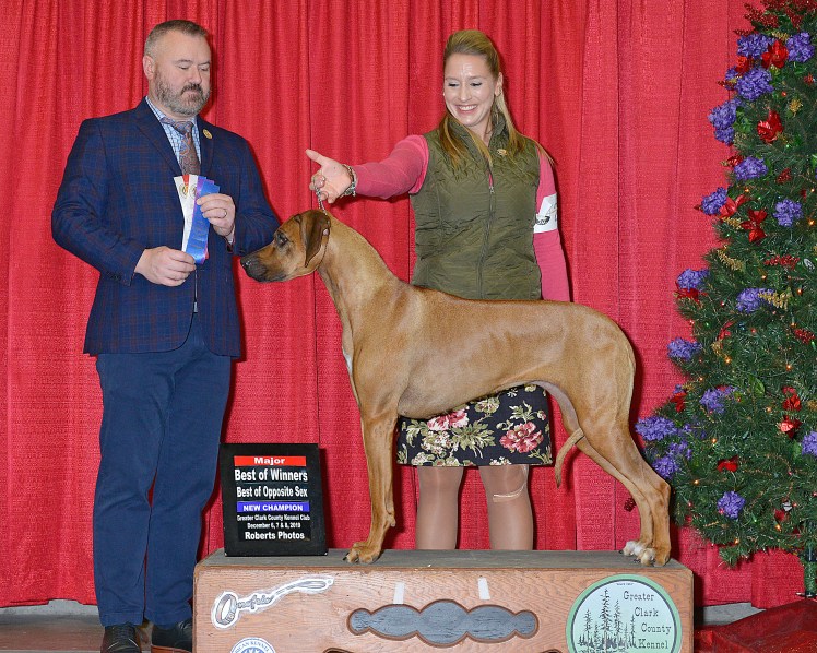 spring bos ridgefield 2019