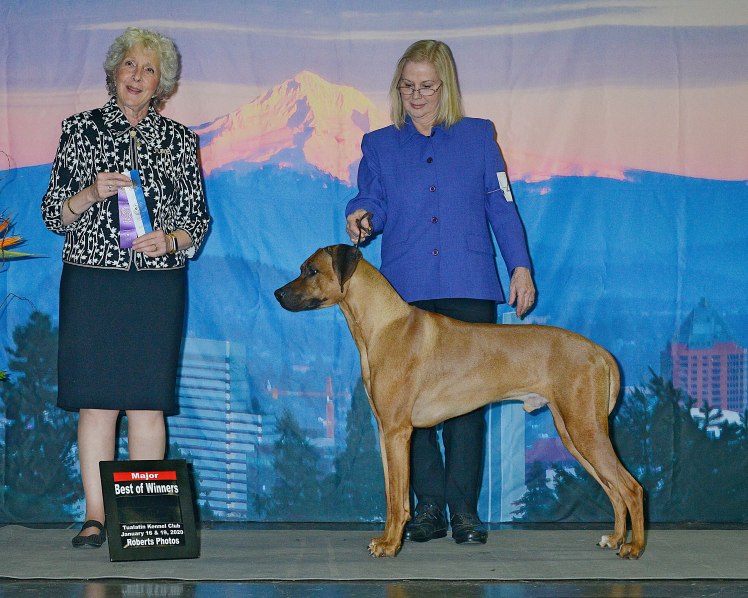 Raisin BW Major Portland 2020