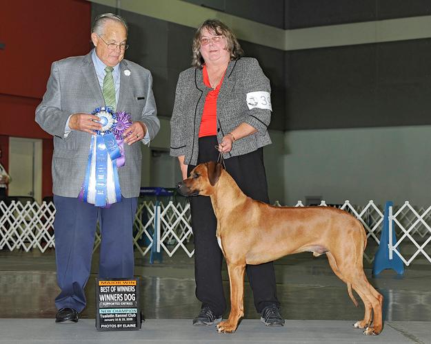 Toby new champion BW Portland 1-2020 - Copy